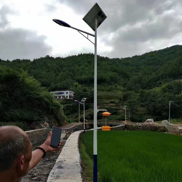 Insecticidal lamp