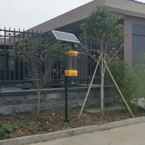 Insecticidal lamp