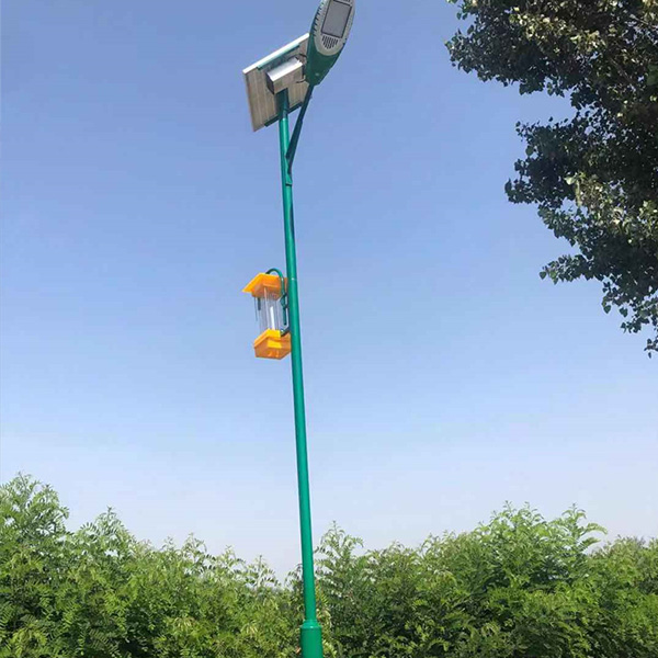 Insecticidal lamp