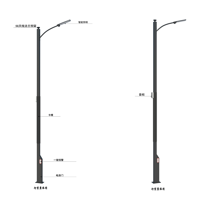 Integrated pole